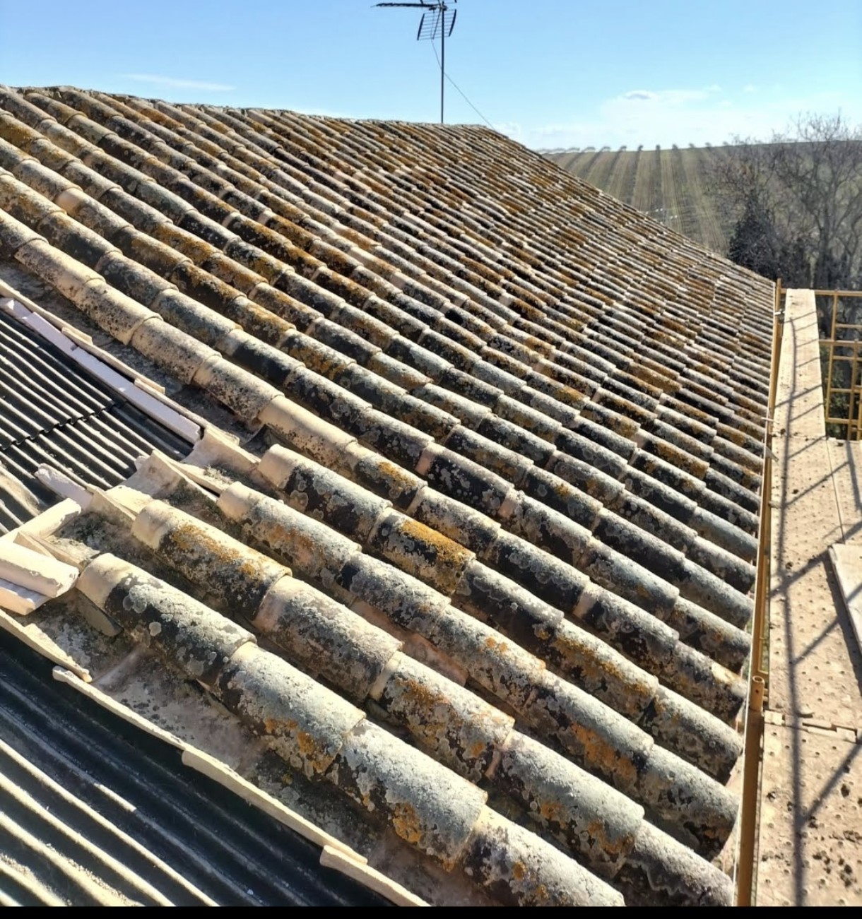 Teja curva recuperada derribo canal