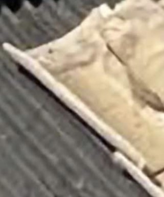 Teja curva recuperada derribo canal